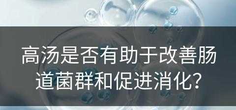 高汤是否有助于改善肠道菌群和促进消化？